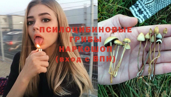 гидропоника Горняк