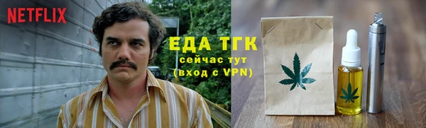 гидропоника Горняк